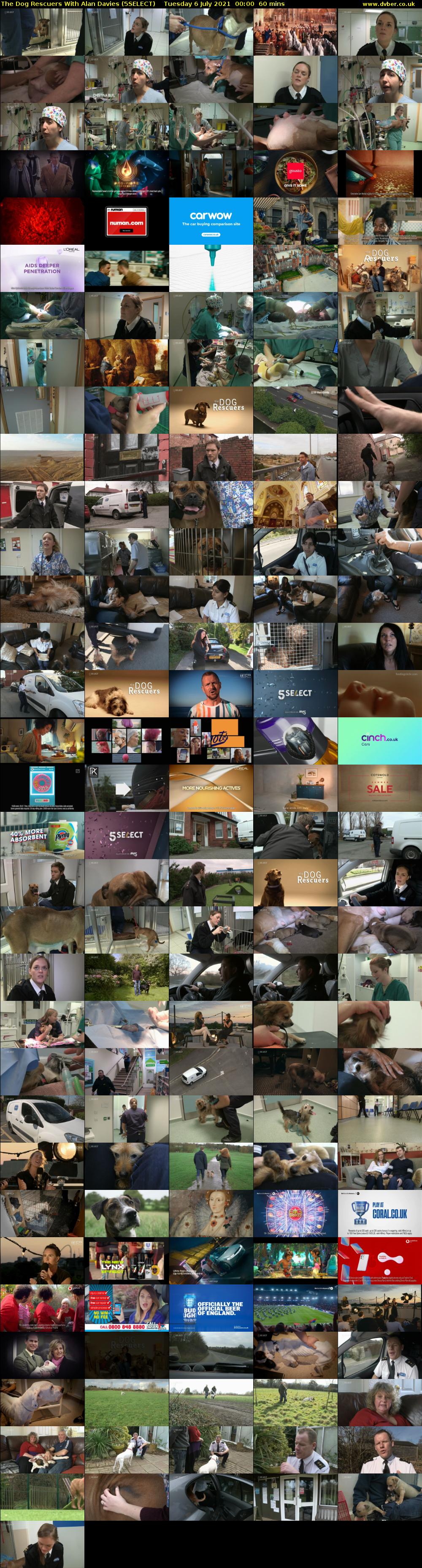 The Dog Rescuers With Alan Davies (5SELECT) Tuesday 6 July 2021 00:00 - 01:00