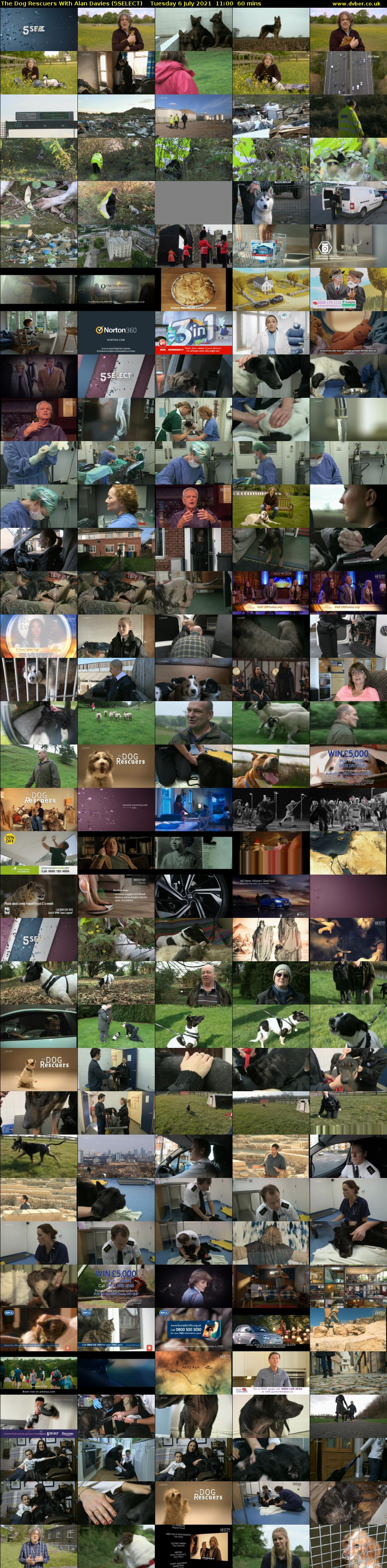 The Dog Rescuers With Alan Davies (5SELECT) Tuesday 6 July 2021 11:00 - 12:00