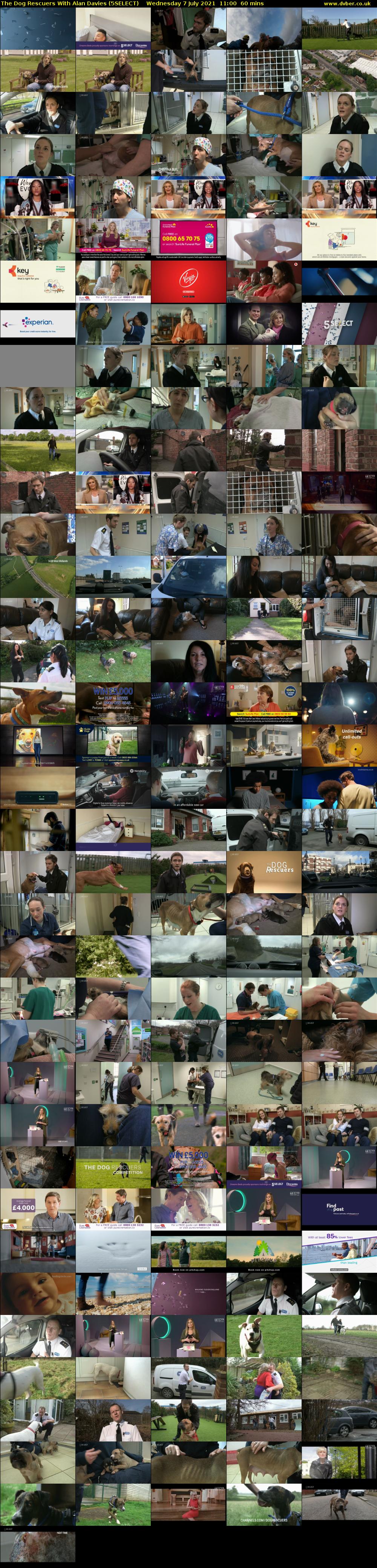 The Dog Rescuers With Alan Davies (5SELECT) Wednesday 7 July 2021 11:00 - 12:00