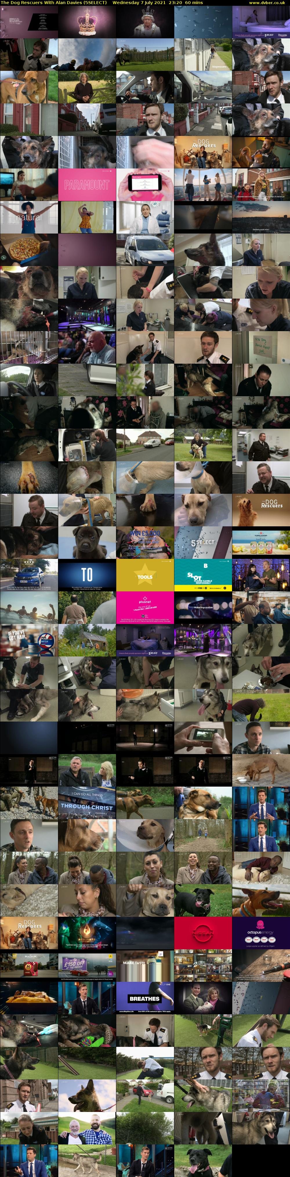 The Dog Rescuers With Alan Davies (5SELECT) Wednesday 7 July 2021 23:20 - 00:20