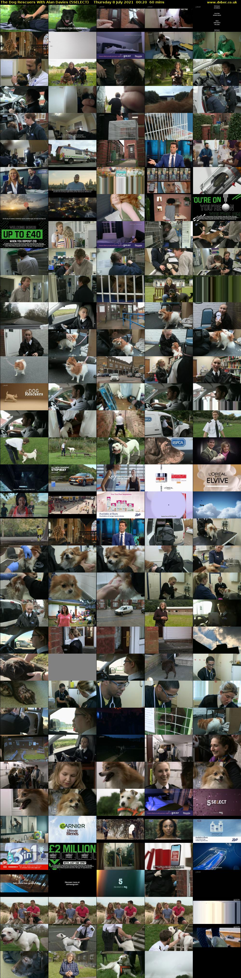 The Dog Rescuers With Alan Davies (5SELECT) Thursday 8 July 2021 00:20 - 01:20
