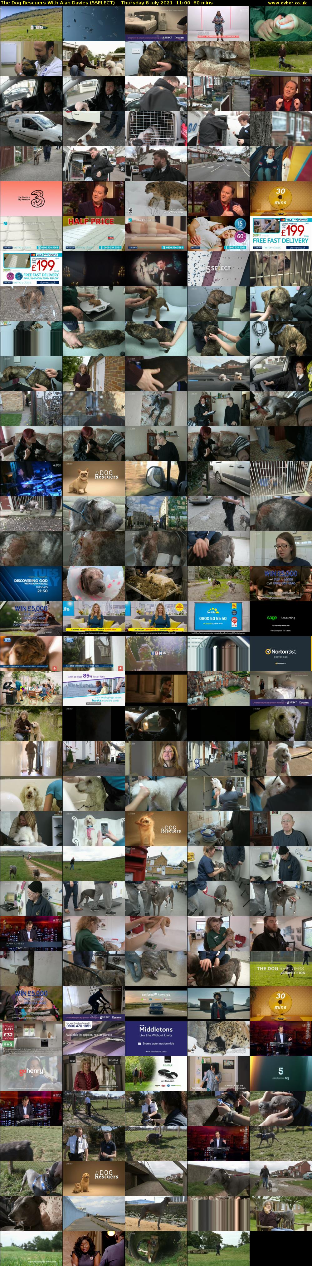 The Dog Rescuers With Alan Davies (5SELECT) Thursday 8 July 2021 11:00 - 12:00