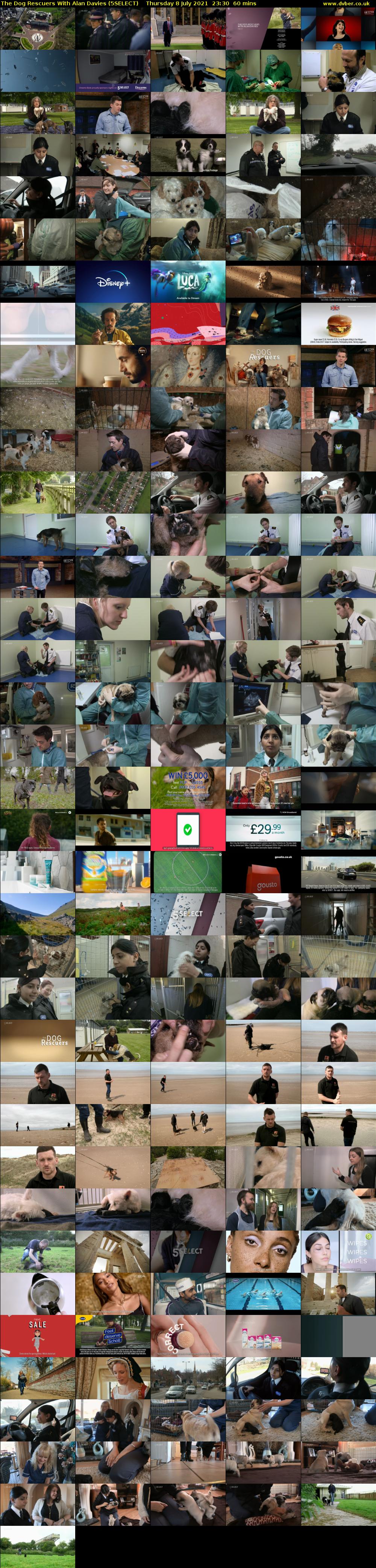 The Dog Rescuers With Alan Davies (5SELECT) Thursday 8 July 2021 23:30 - 00:30