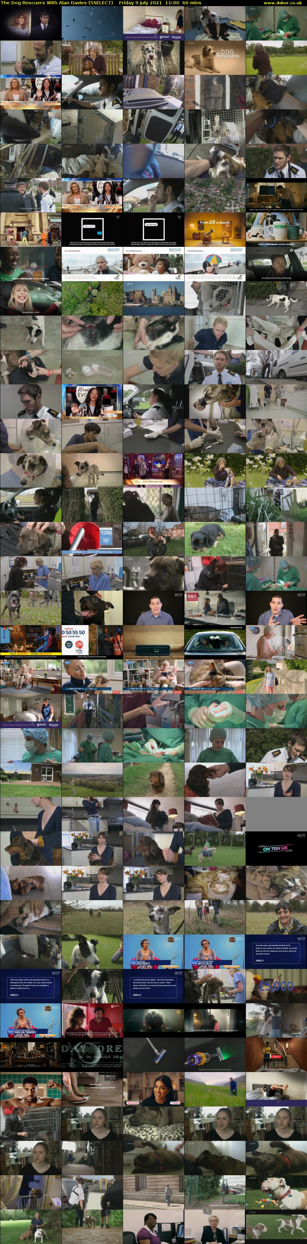 The Dog Rescuers With Alan Davies (5SELECT) Friday 9 July 2021 11:00 - 12:00