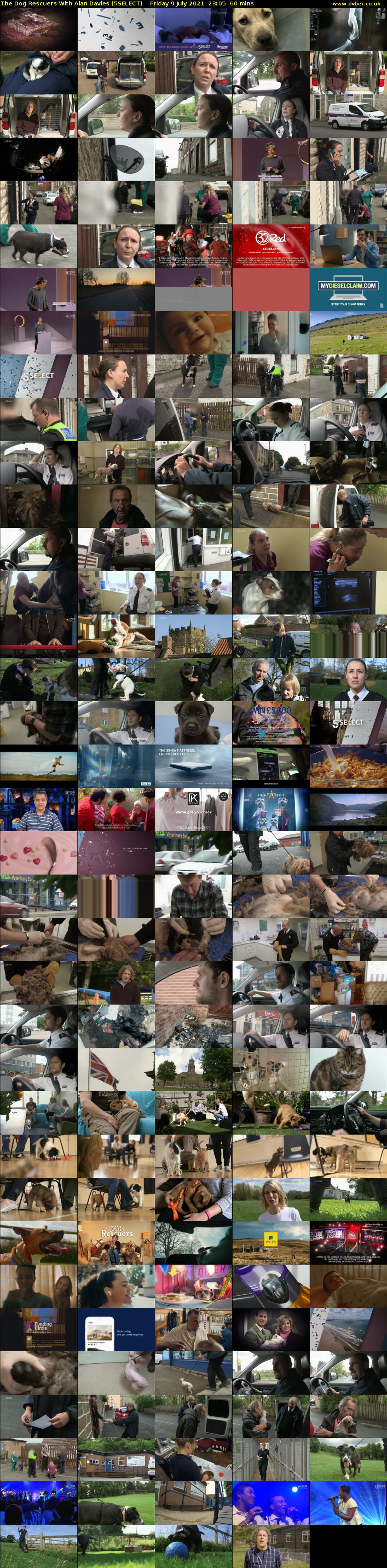 The Dog Rescuers With Alan Davies (5SELECT) Friday 9 July 2021 23:05 - 00:05