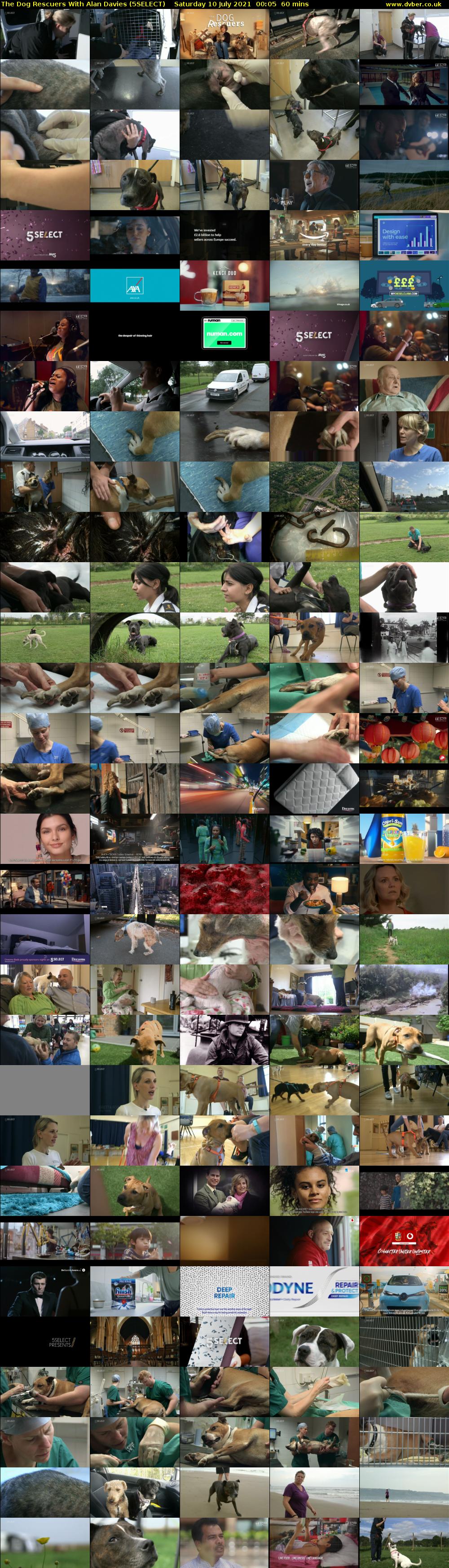 The Dog Rescuers With Alan Davies (5SELECT) Saturday 10 July 2021 00:05 - 01:05