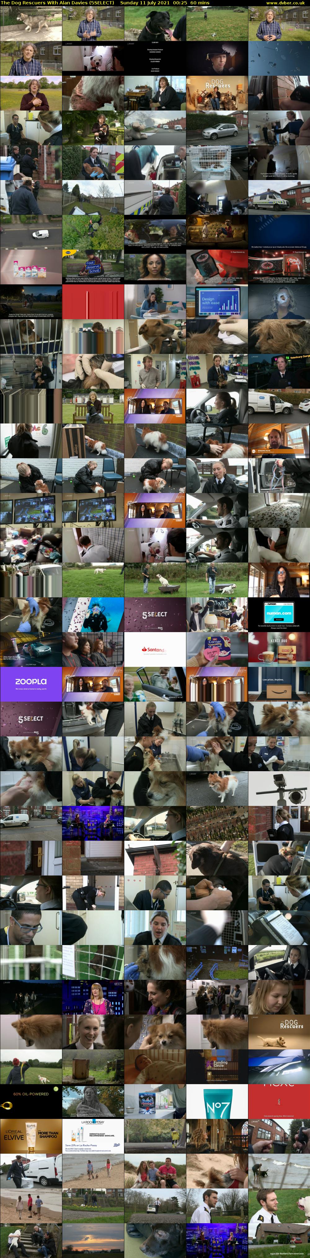 The Dog Rescuers With Alan Davies (5SELECT) Sunday 11 July 2021 00:25 - 01:25