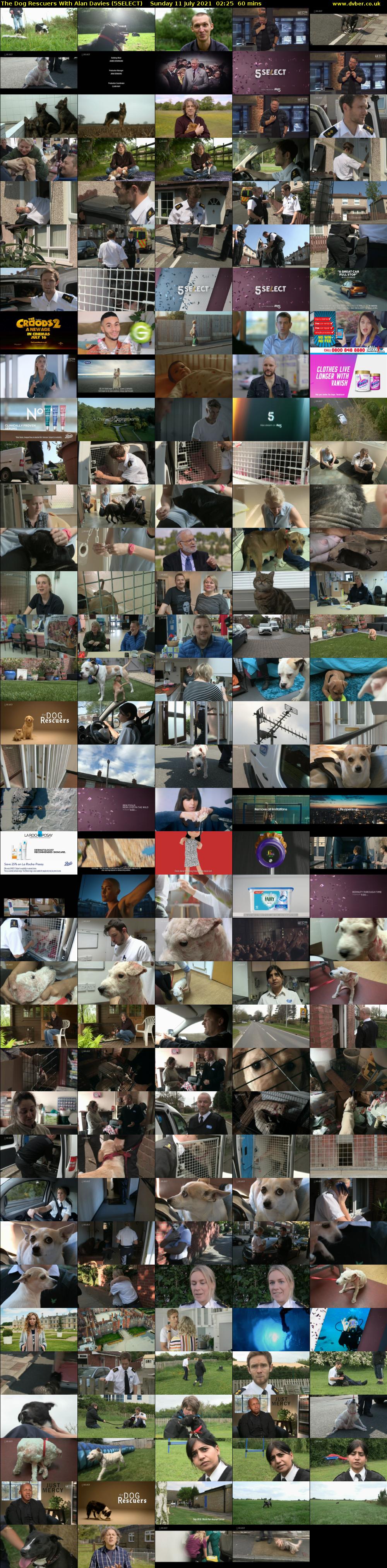 The Dog Rescuers With Alan Davies (5SELECT) Sunday 11 July 2021 02:25 - 03:25
