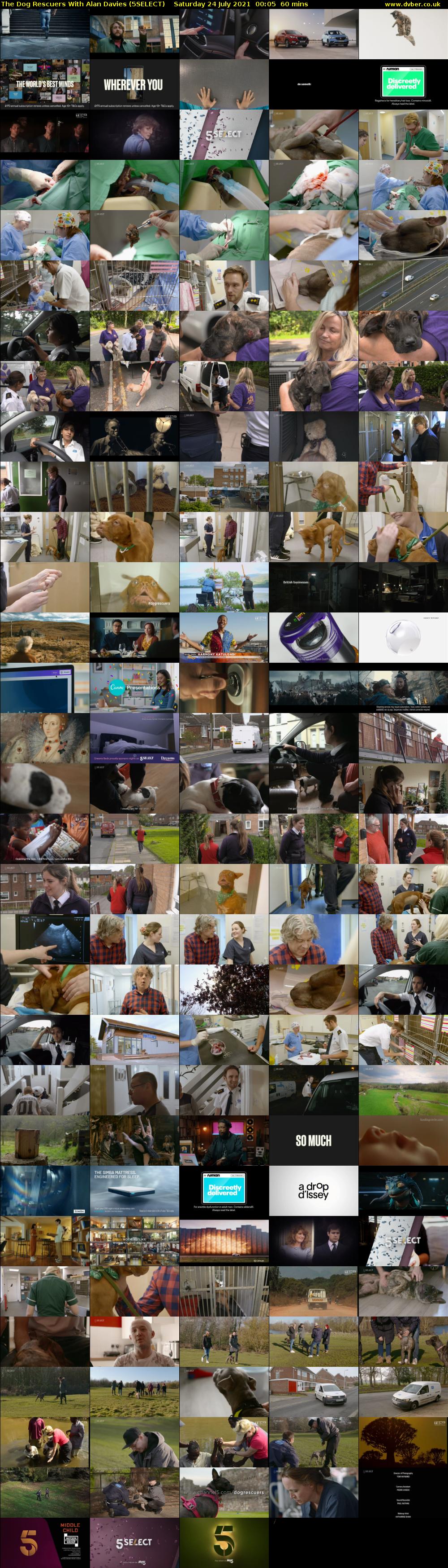 The Dog Rescuers With Alan Davies (5SELECT) Saturday 24 July 2021 00:05 - 01:05