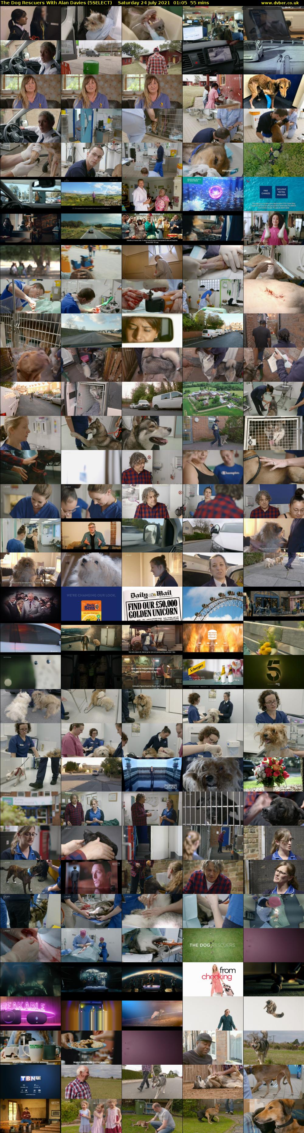 The Dog Rescuers With Alan Davies (5SELECT) Saturday 24 July 2021 01:05 - 02:00