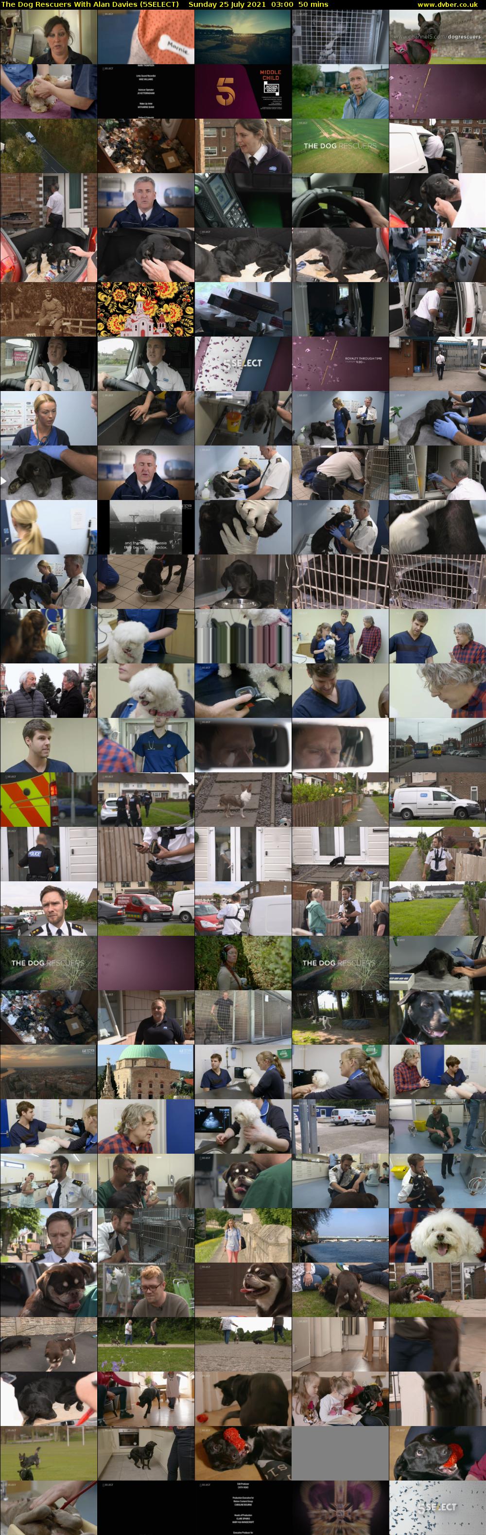 The Dog Rescuers With Alan Davies (5SELECT) Sunday 25 July 2021 03:00 - 03:50