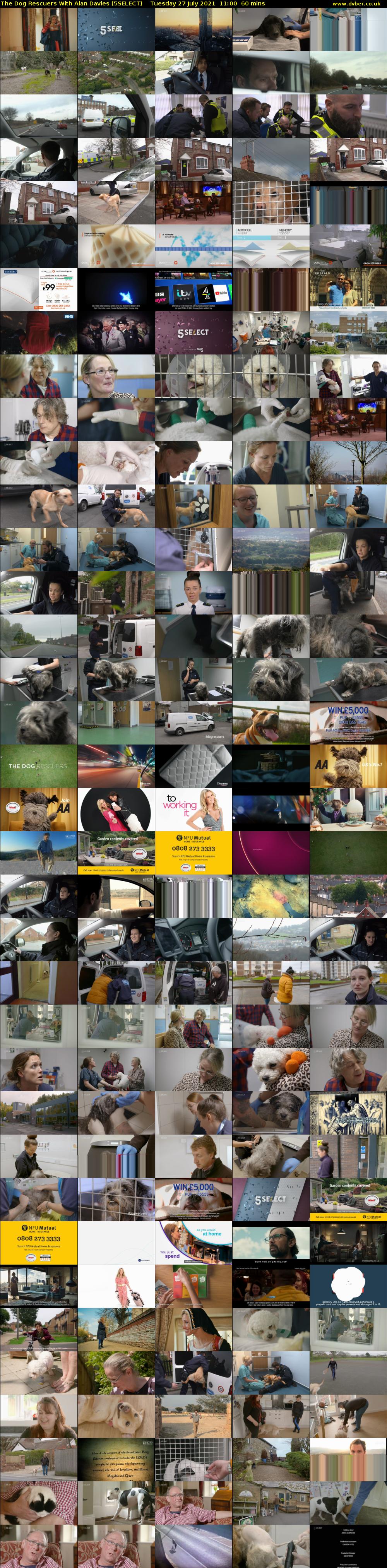 The Dog Rescuers With Alan Davies (5SELECT) Tuesday 27 July 2021 11:00 - 12:00