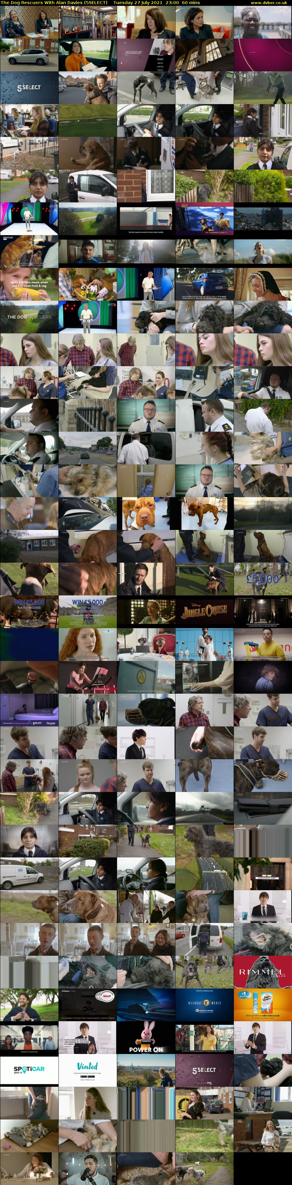 The Dog Rescuers With Alan Davies (5SELECT) Tuesday 27 July 2021 23:00 - 00:00