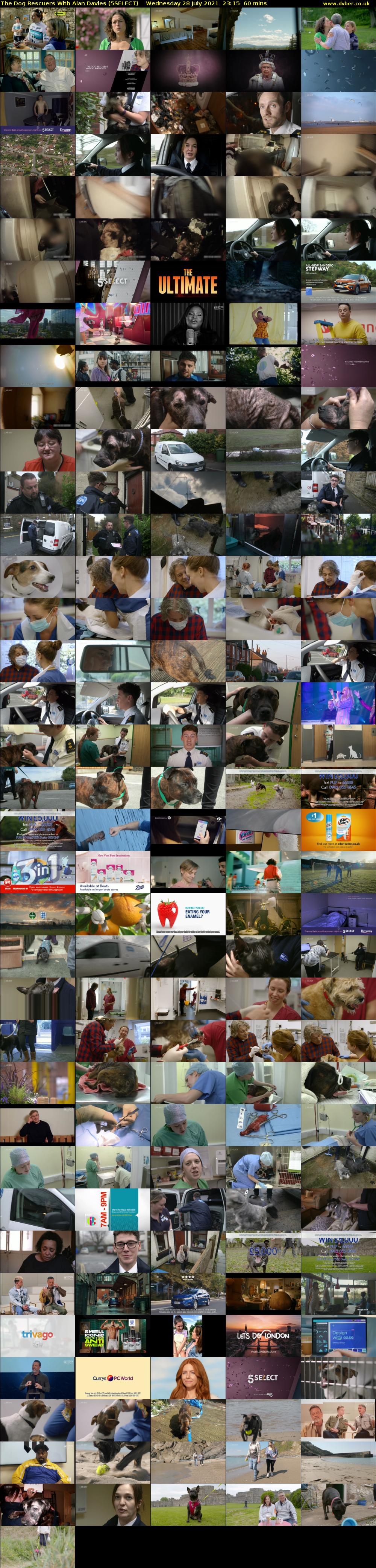 The Dog Rescuers With Alan Davies (5SELECT) Wednesday 28 July 2021 23:15 - 00:15
