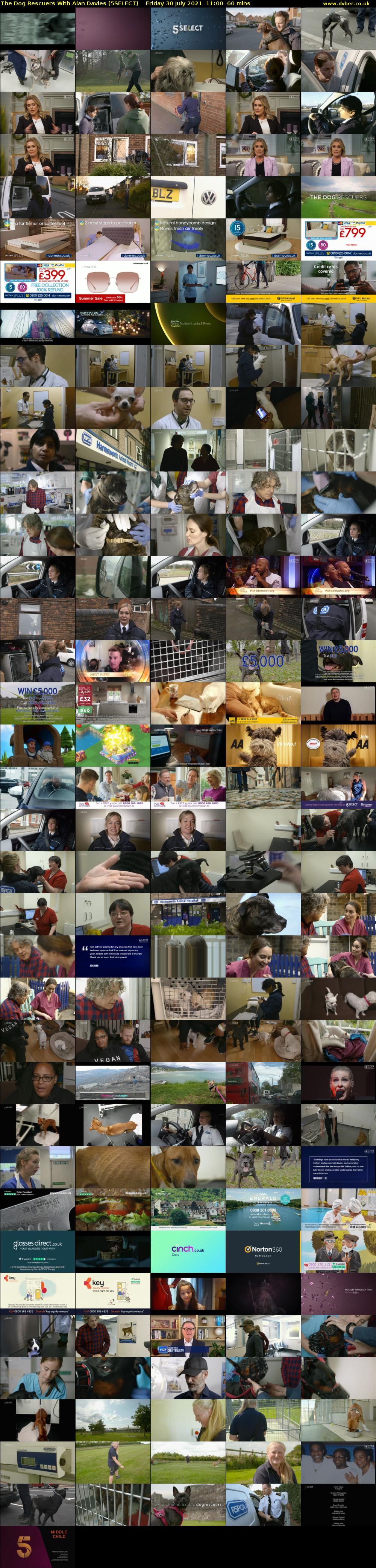 The Dog Rescuers With Alan Davies (5SELECT) Friday 30 July 2021 11:00 - 12:00