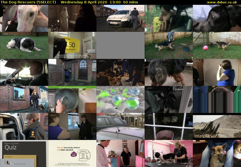 The Dog Rescuers (5SELECT) Wednesday 8 April 2020 13:00 - 14:00