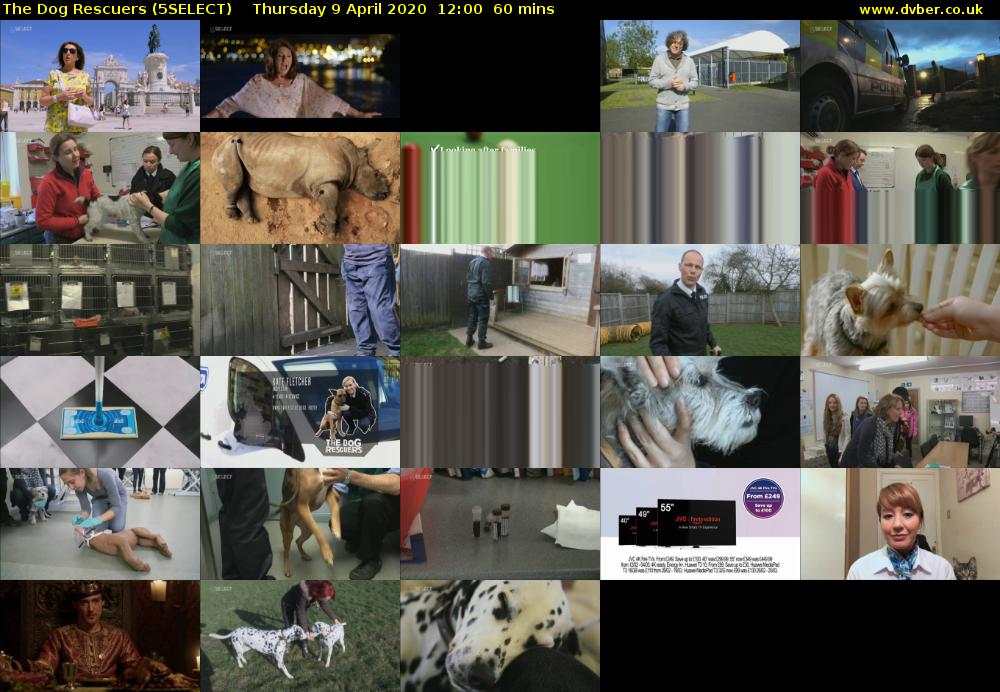 The Dog Rescuers (5SELECT) Thursday 9 April 2020 12:00 - 13:00