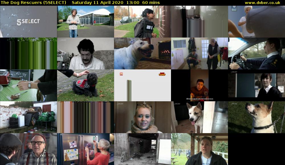 The Dog Rescuers (5SELECT) Saturday 11 April 2020 13:00 - 14:00