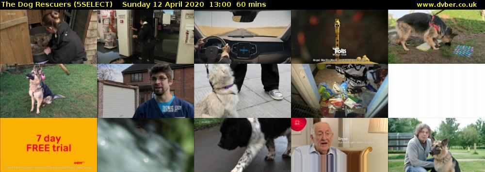 The Dog Rescuers (5SELECT) Sunday 12 April 2020 13:00 - 14:00