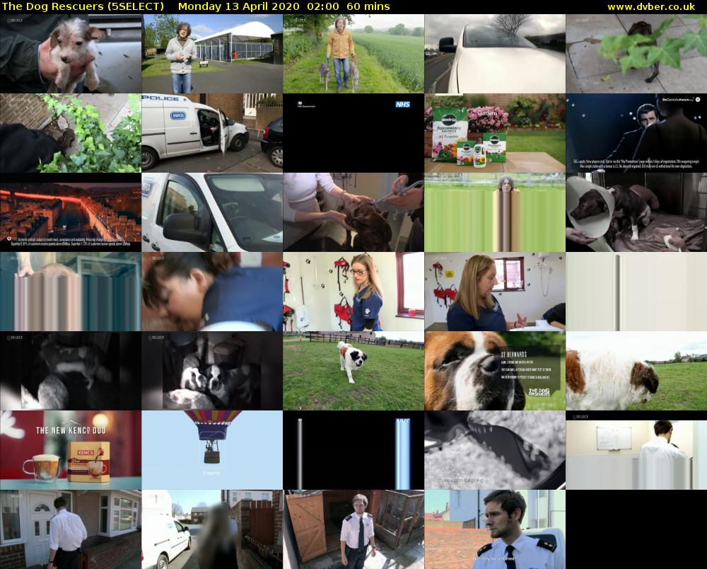 The Dog Rescuers (5SELECT) Monday 13 April 2020 02:00 - 03:00