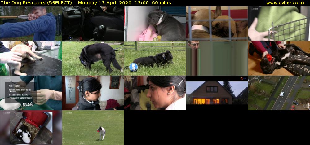 The Dog Rescuers (5SELECT) Monday 13 April 2020 13:00 - 14:00