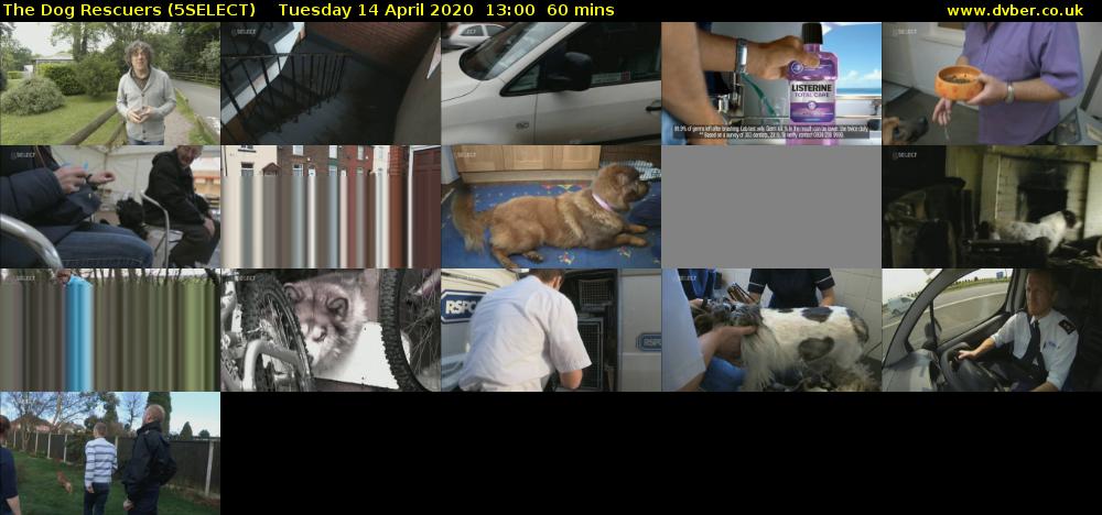 The Dog Rescuers (5SELECT) Tuesday 14 April 2020 13:00 - 14:00