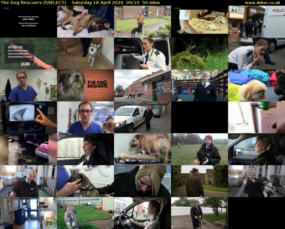 The Dog Rescuers (5SELECT) Saturday 18 April 2020 09:10 - 10:00