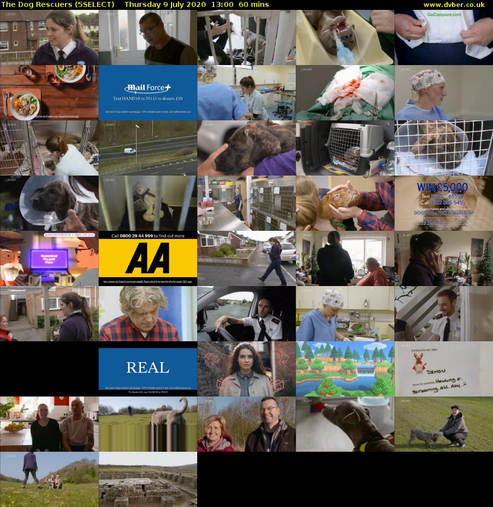 The Dog Rescuers (5SELECT) Thursday 9 July 2020 13:00 - 14:00