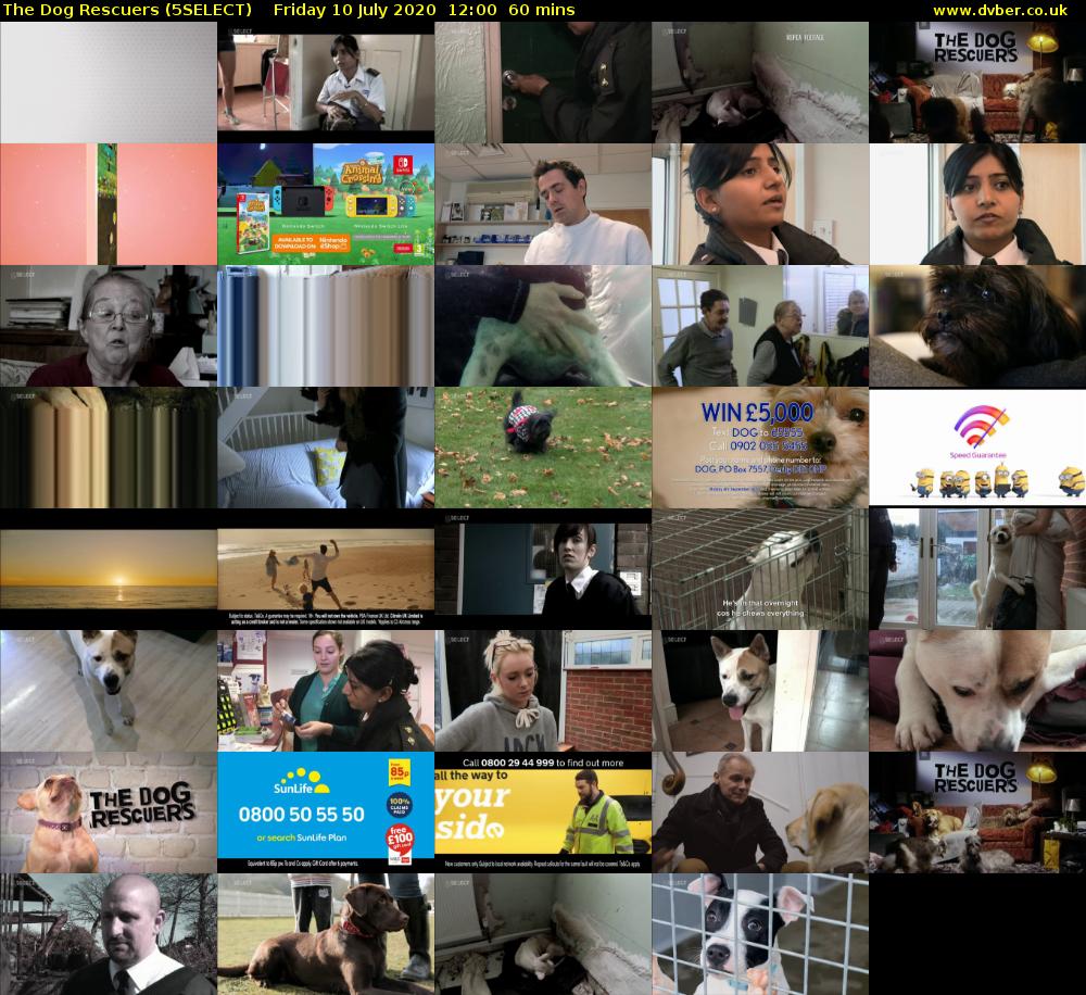 The Dog Rescuers (5SELECT) Friday 10 July 2020 12:00 - 13:00