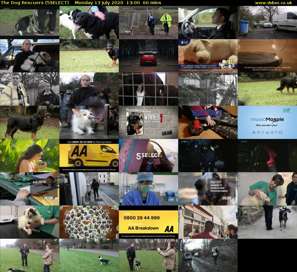 The Dog Rescuers (5SELECT) Monday 13 July 2020 13:00 - 14:00