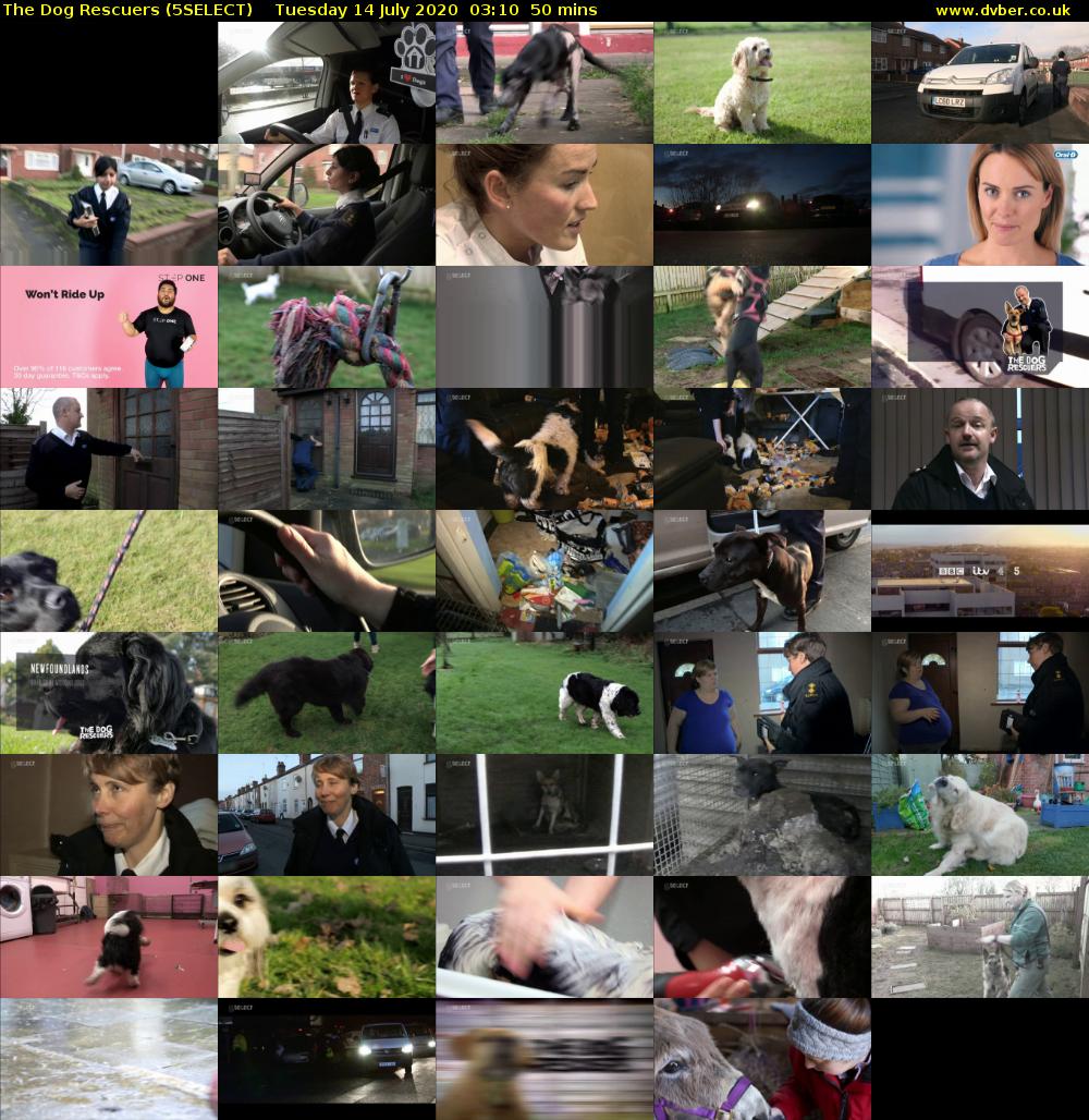 The Dog Rescuers (5SELECT) Tuesday 14 July 2020 03:10 - 04:00