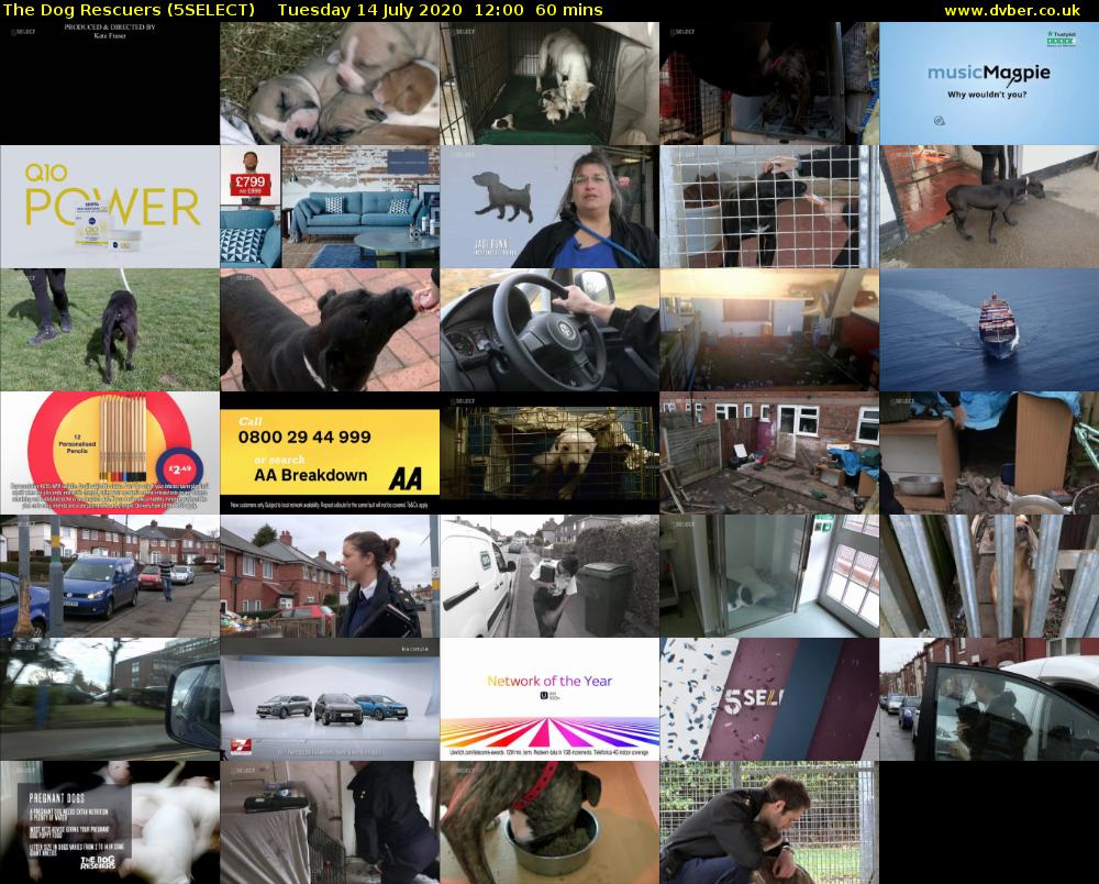 The Dog Rescuers (5SELECT) Tuesday 14 July 2020 12:00 - 13:00