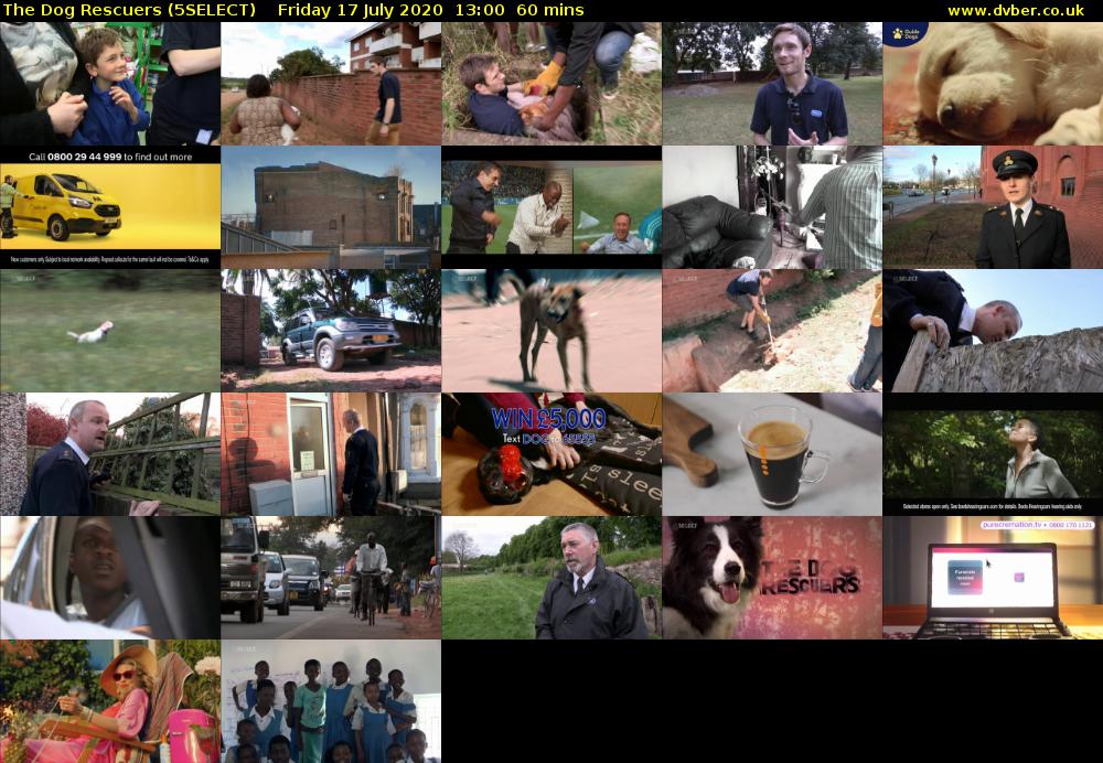 The Dog Rescuers (5SELECT) Friday 17 July 2020 13:00 - 14:00