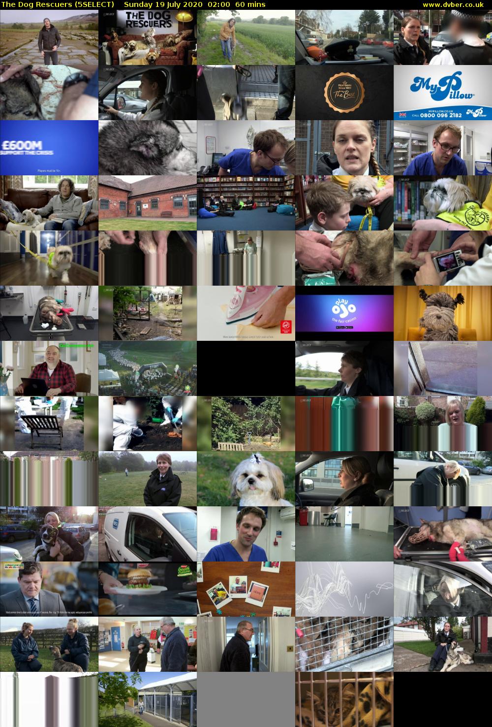 The Dog Rescuers (5SELECT) Sunday 19 July 2020 02:00 - 03:00