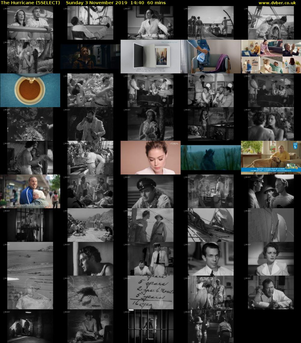 The Hurricane (5SELECT) Sunday 3 November 2019 14:40 - 15:40