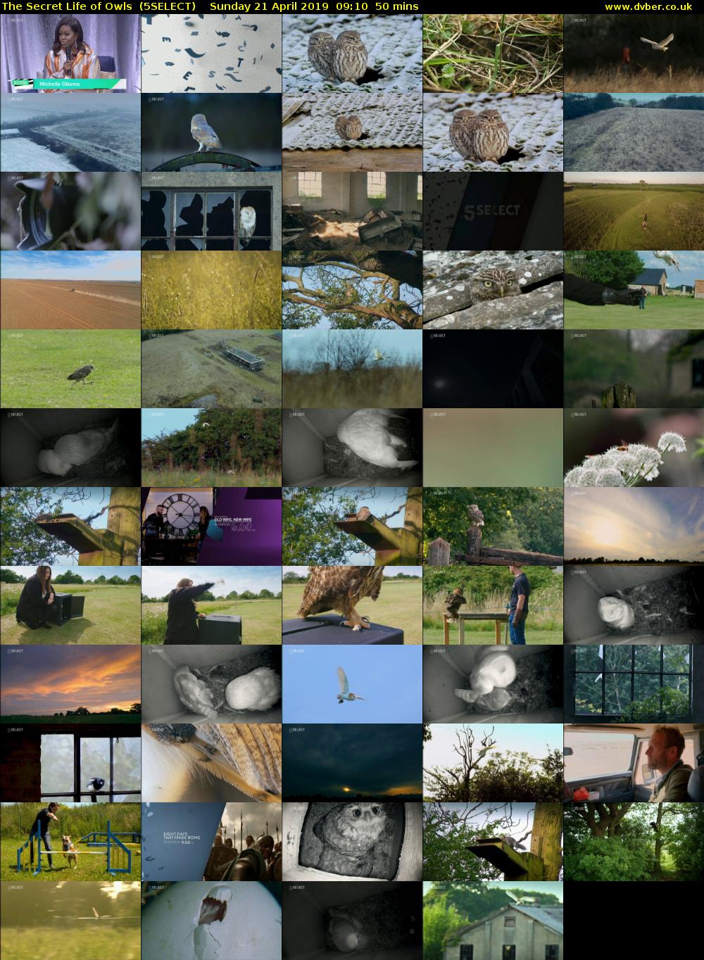The Secret Life of Owls  (5SELECT) Sunday 21 April 2019 09:10 - 10:00