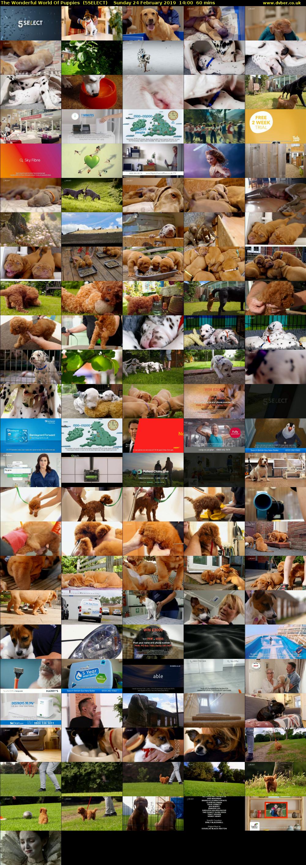 The Wonderful World Of Puppies  (5SELECT) Sunday 24 February 2019 14:00 - 15:00