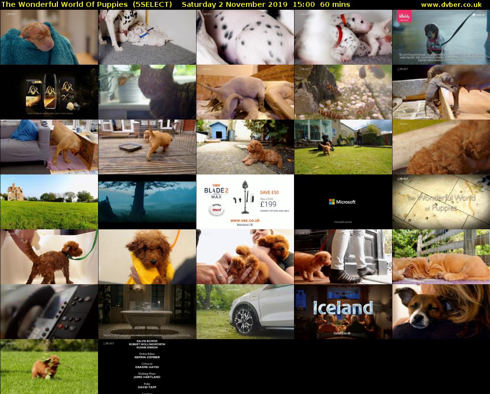 The Wonderful World Of Puppies  (5SELECT) Saturday 2 November 2019 15:00 - 16:00