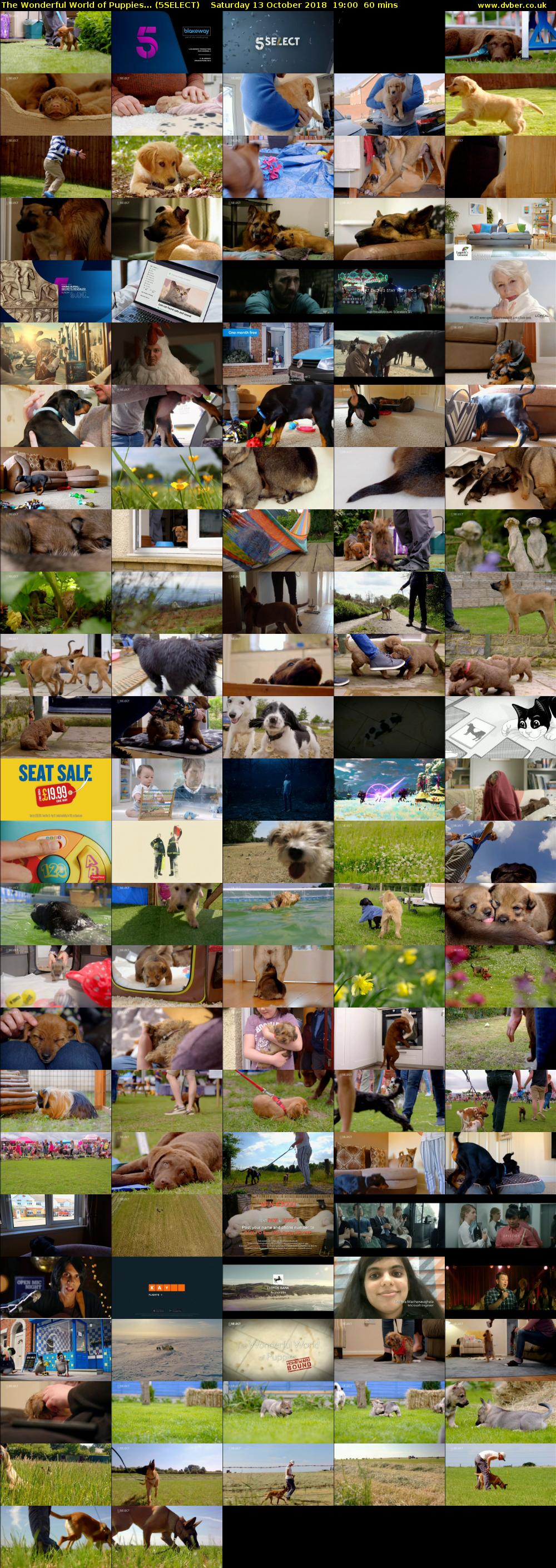 The Wonderful World of Puppies... (5SELECT) Saturday 13 October 2018 19:00 - 20:00