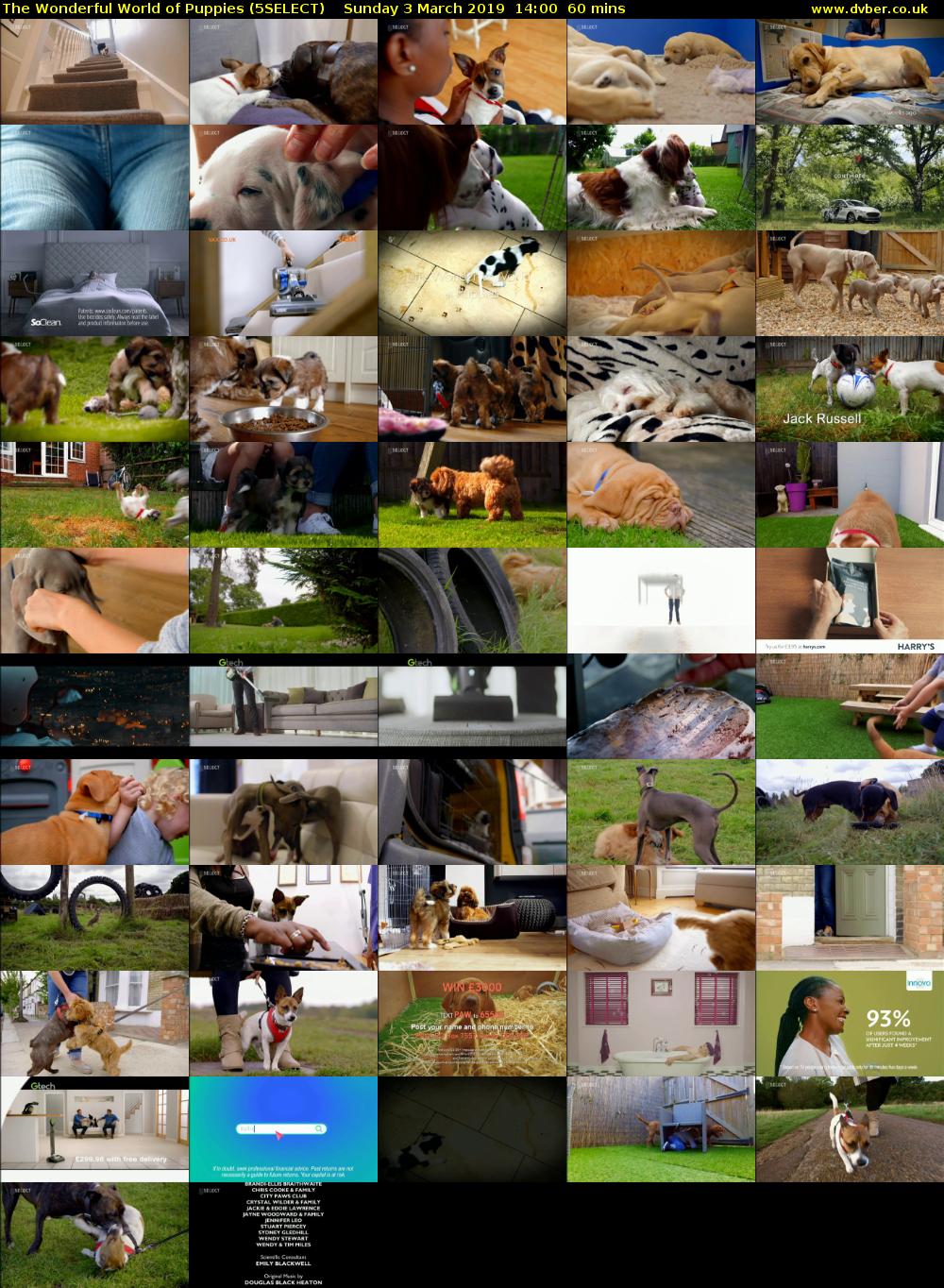 The Wonderful World of Puppies (5SELECT) Sunday 3 March 2019 14:00 - 15:00