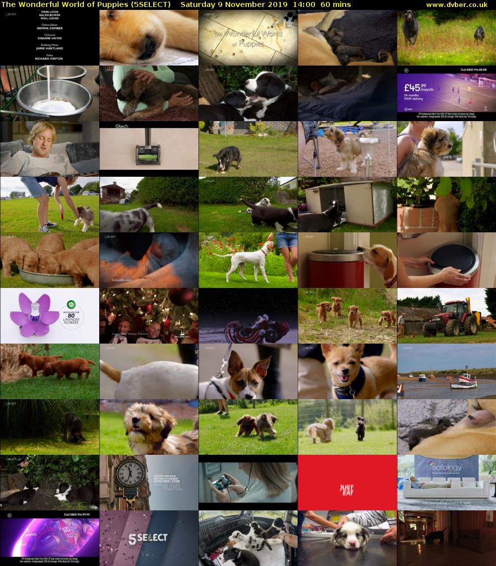 The Wonderful World of Puppies (5SELECT) Saturday 9 November 2019 14:00 - 15:00
