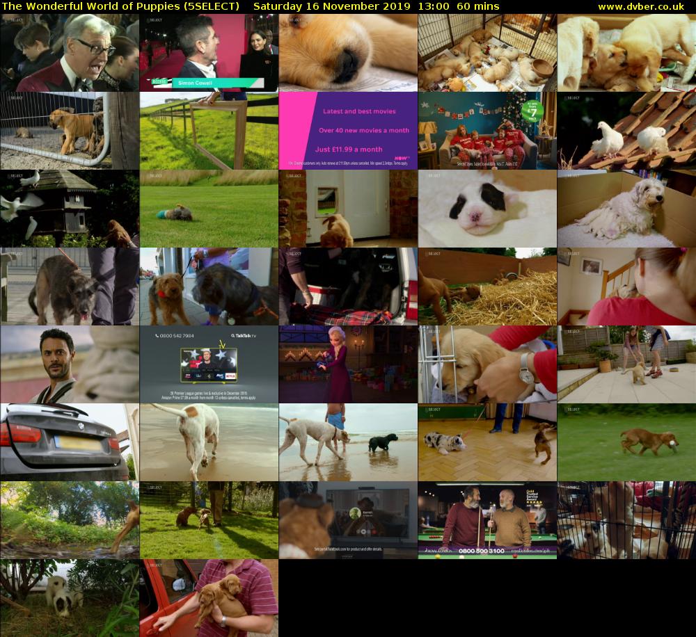 The Wonderful World of Puppies (5SELECT) Saturday 16 November 2019 13:00 - 14:00