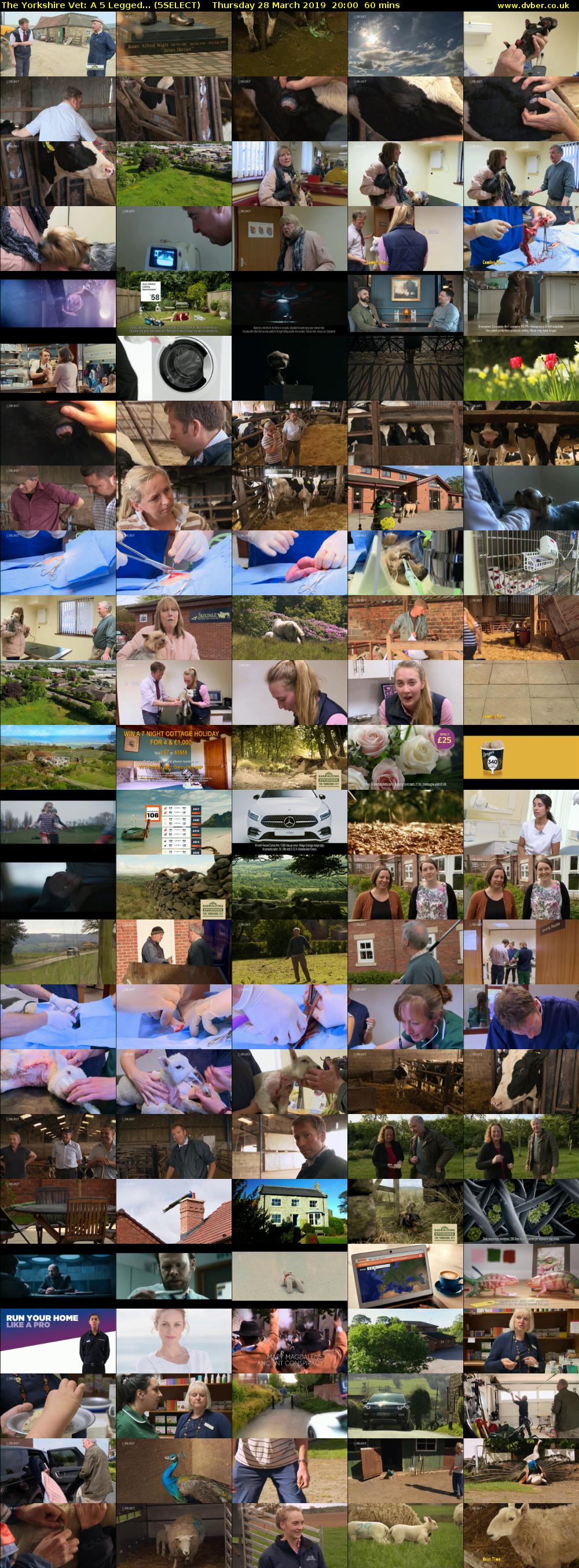 The Yorkshire Vet: A 5 Legged... (5SELECT) Thursday 28 March 2019 20:00 - 21:00