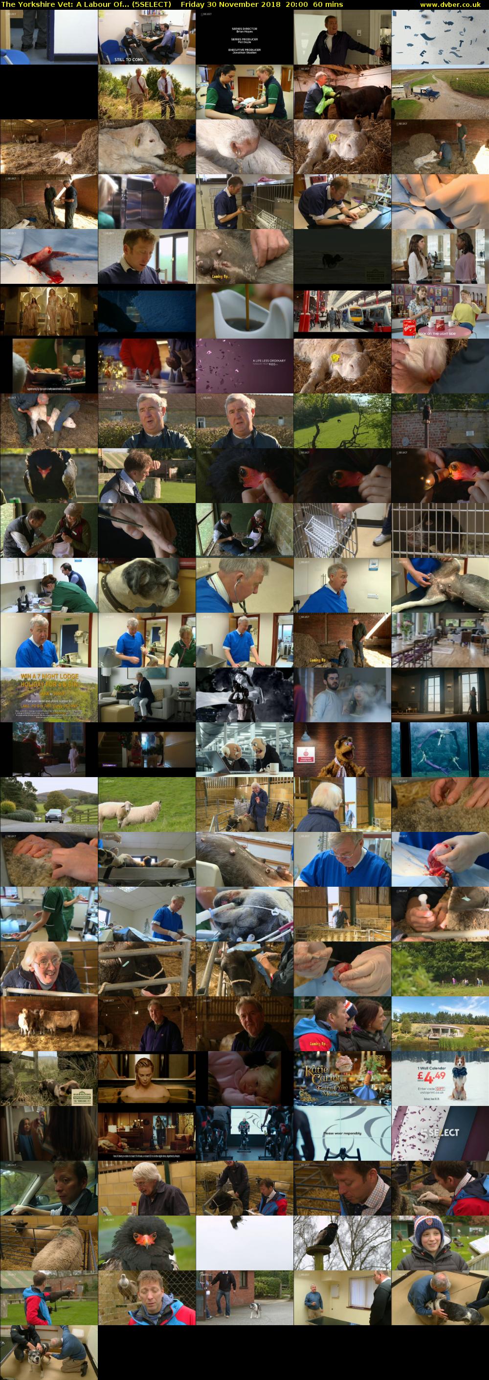 The Yorkshire Vet: A Labour Of... (5SELECT) Friday 30 November 2018 20:00 - 21:00