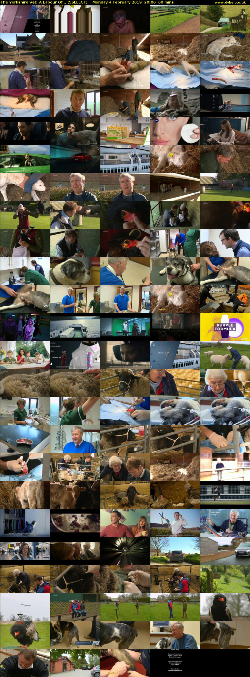 The Yorkshire Vet: A Labour Of... (5SELECT) Monday 4 February 2019 20:00 - 21:00