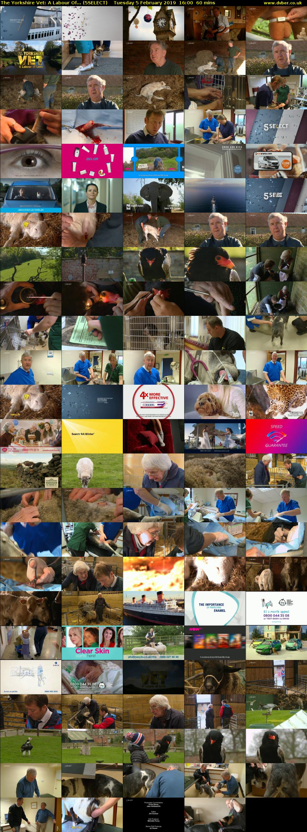 The Yorkshire Vet: A Labour Of... (5SELECT) Tuesday 5 February 2019 16:00 - 17:00