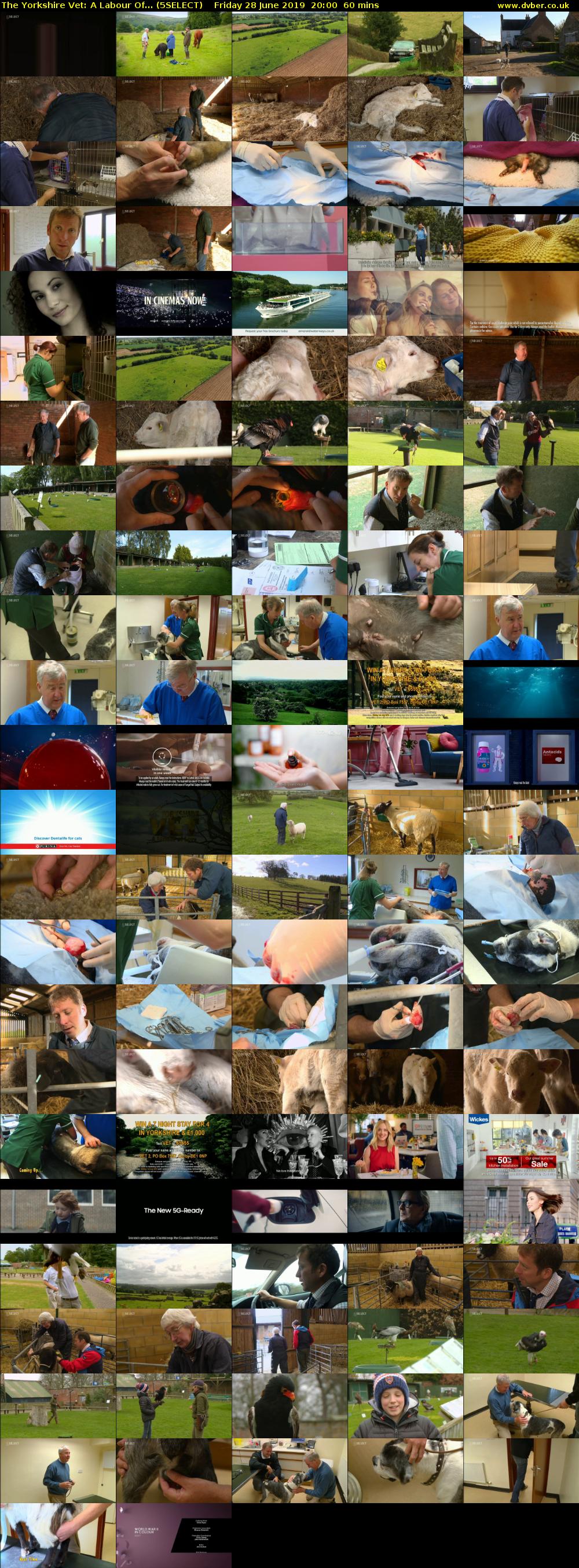 The Yorkshire Vet: A Labour Of... (5SELECT) Friday 28 June 2019 20:00 - 21:00