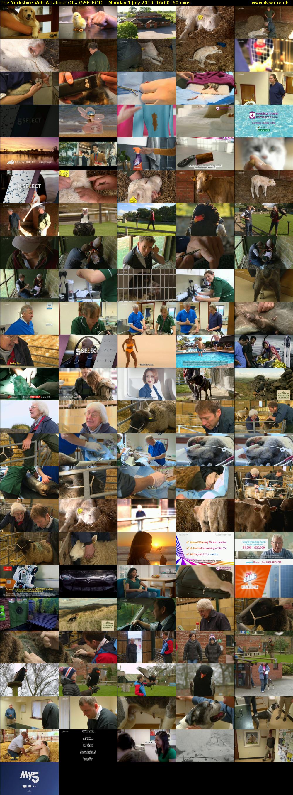 The Yorkshire Vet: A Labour Of... (5SELECT) Monday 1 July 2019 16:00 - 17:00