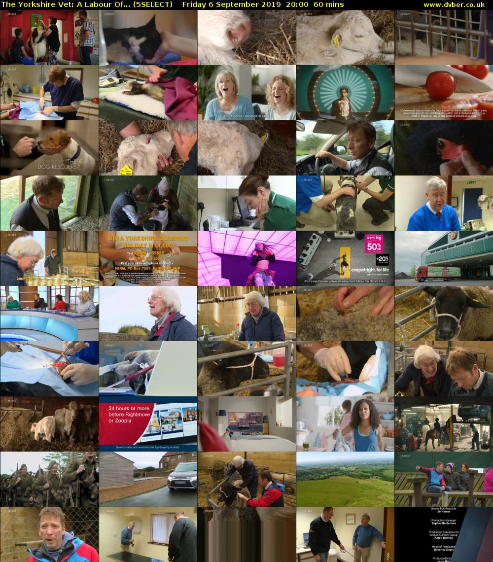 The Yorkshire Vet: A Labour Of... (5SELECT) Friday 6 September 2019 20:00 - 21:00