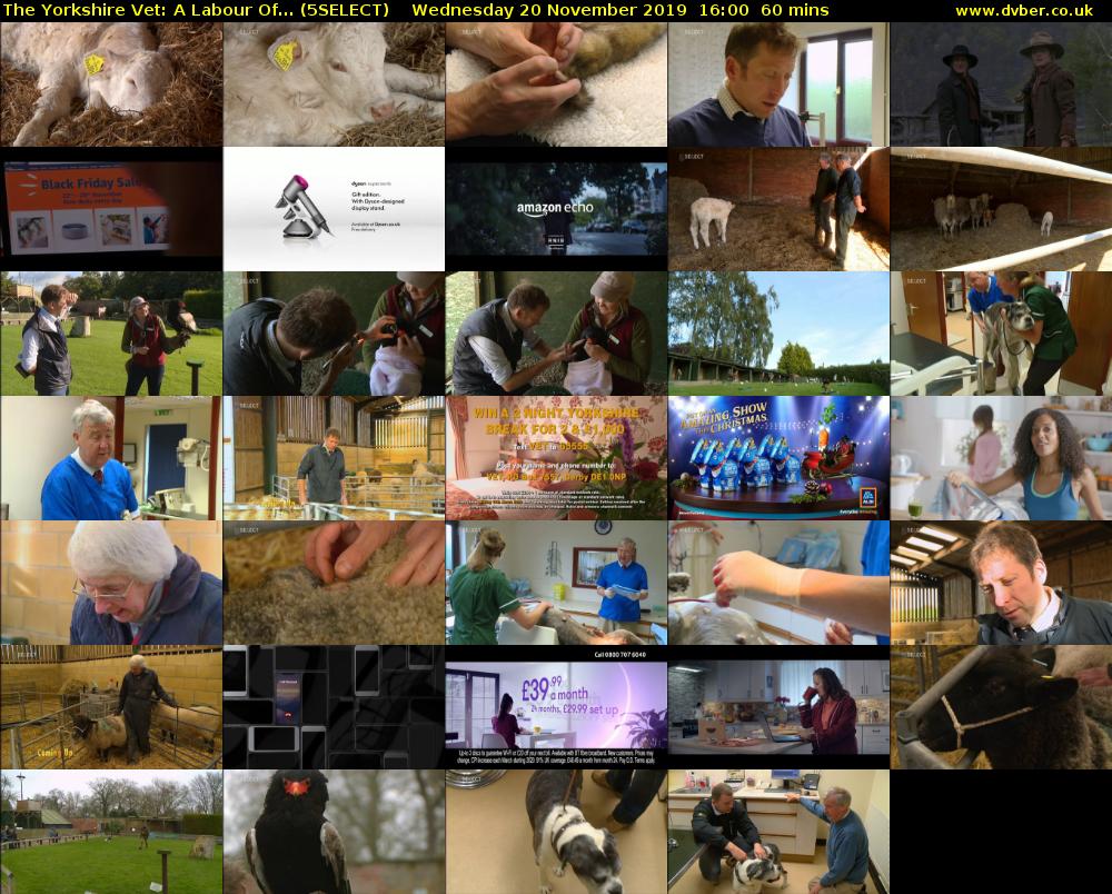 The Yorkshire Vet: A Labour Of... (5SELECT) Wednesday 20 November 2019 16:00 - 17:00